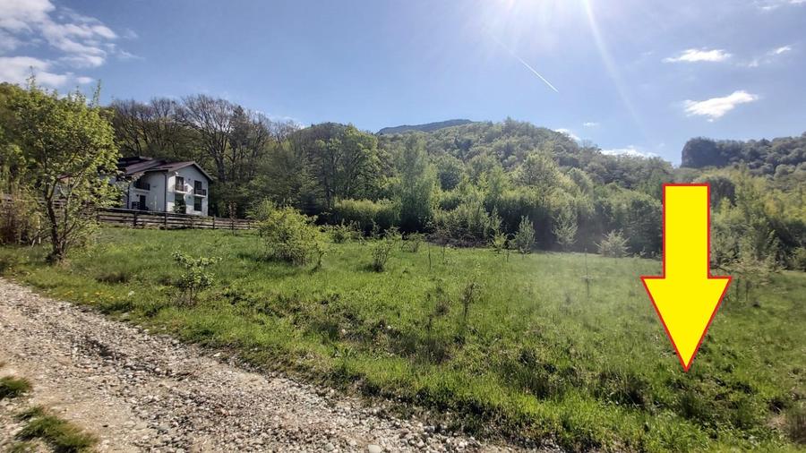 Vanzare 1266 mp teren superb Cheile Rasnoavei la munte langa padure si pensiuni - 16