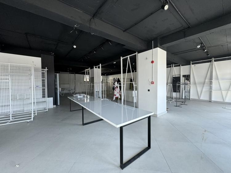 Spatiu comercial, parter, 375.6 mp utili, vitrina, zona Corneliu Coposu - 4