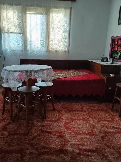 Casa de vânzare la tara - 6