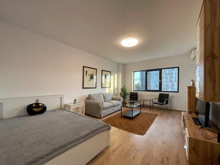 Studio cochet zona Parcul Carol - 4