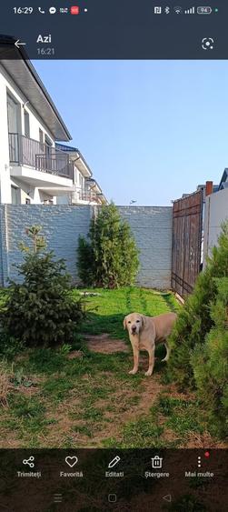 Bragadiru - Safirului - Casa  p+1+mansarda + curte 100 mp -  constructie 2021 - 4