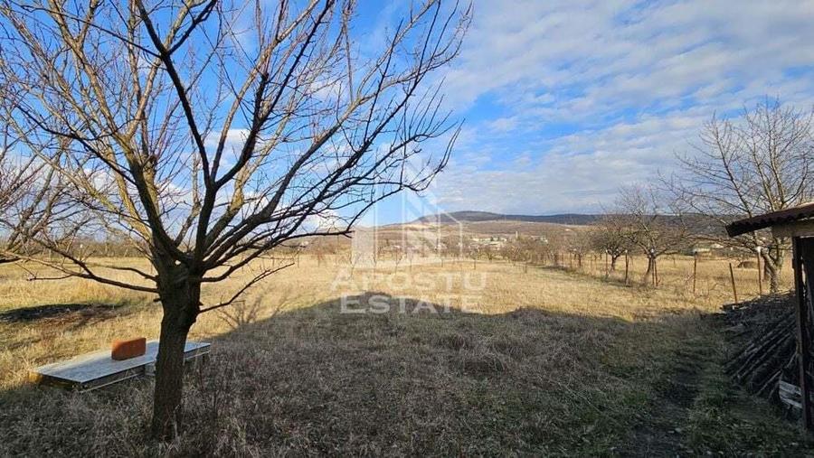 Vila de vanzare in Ghioroc - 9