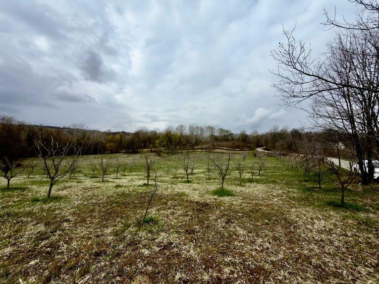 Teren / gradina de vanzare in Barbuletu, judetul Dambovita 8055 mp - 6
