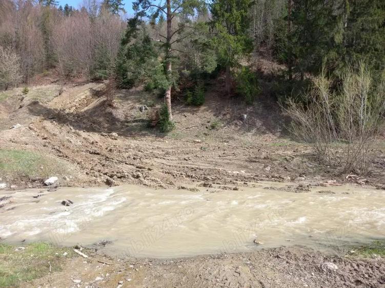 Vand teren Humor - Voronet 22.250 mp - 9