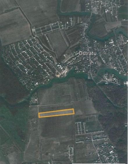 Teren Ostratu-Tamasi // OPORTUNITATE INVESTITII - 6