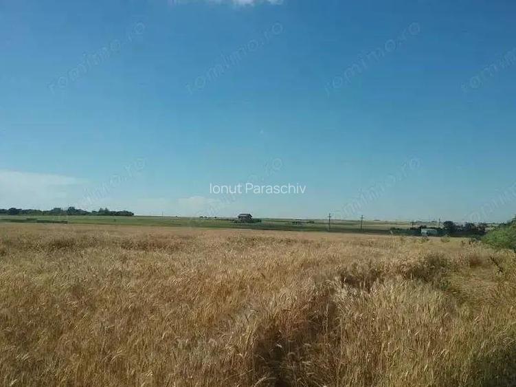 Teren extravilan 2.000 mp Techirghiol, jud. Constanta