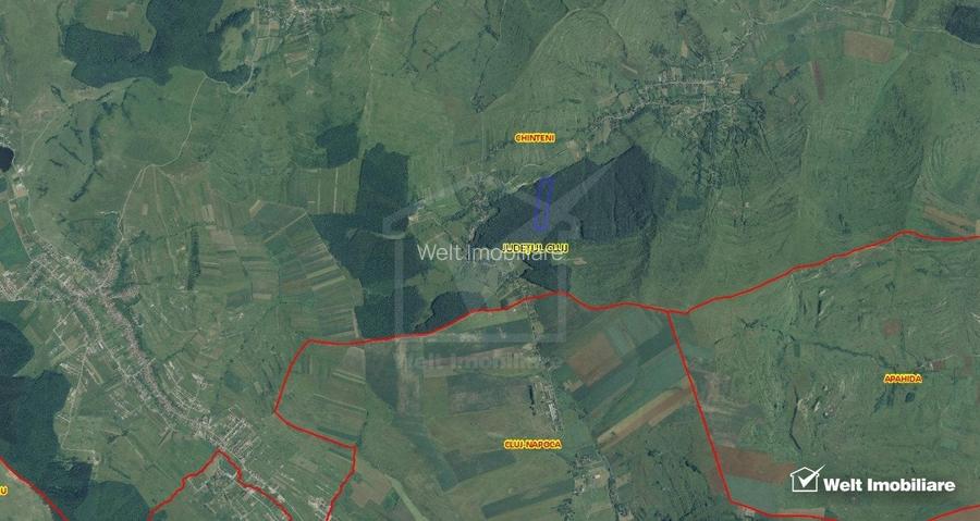 29.000 mp padure in Padureni (Chinteni), 100% material lemnos