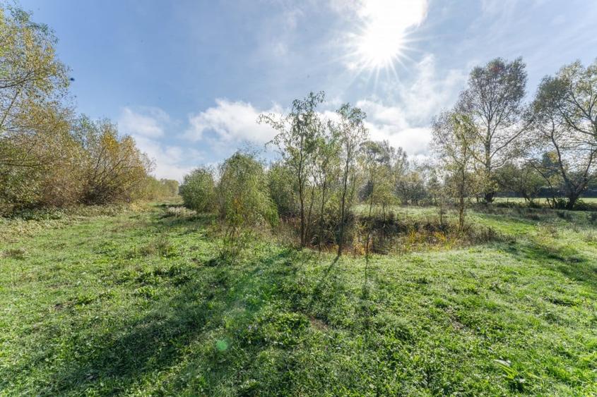 Proprietate rara in Covasna - liniste, spatiu si potential de investitie - 33