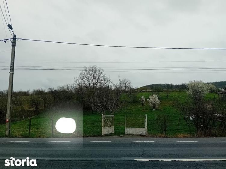 Teren intravilan Coldau la drumul european - 2