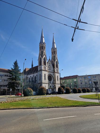 Studio Renovat + Curte 41 mp | Parter | Zona Balcescu Sorin Titel | - 7