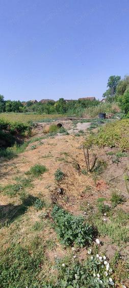 Teren intravilan cur?i construc?ii 2800 mp- Lovrin-Centru de vanzare - 2