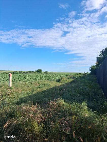 Teren agricol 1000mp, acces asfaltat, 35.000 EUR - 9