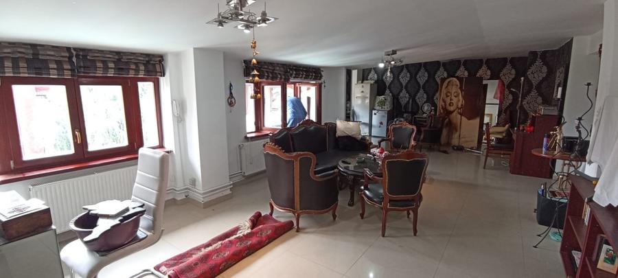 Vila interbelica cu terasa-restaurant in functiune zona Blv Marasesti Bucuresti - 25