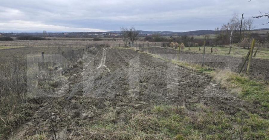 Teren intravilan - livada si vie- 20 ari - Viile SATU MARE - 10