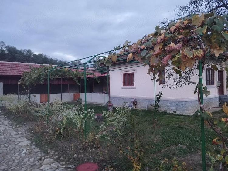 De vinzare teren intravilan +casa locuibila din caramida cu toate utilitatile - 9