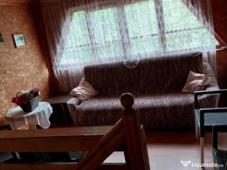 Vila 7 camere, 200 mp, zona Maneciu Pamanteni - 2