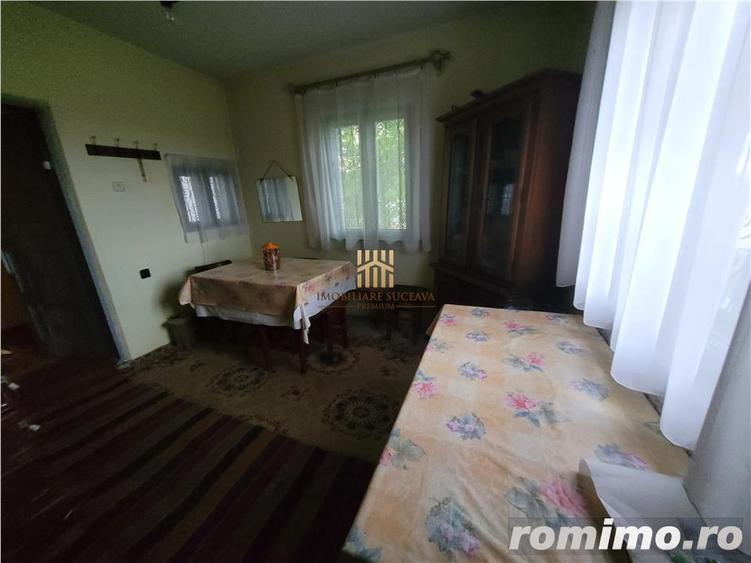 Casa Orheienilor! - 3