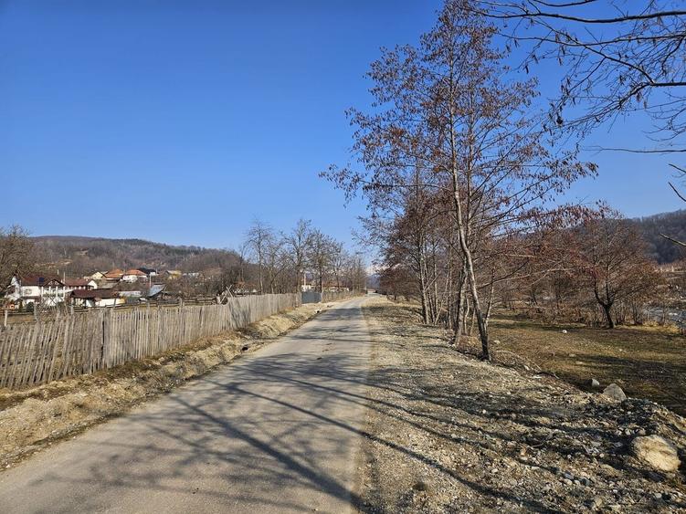 Teren 2500 mp în natură, Valea Bratia, priveliște spre munți - 9