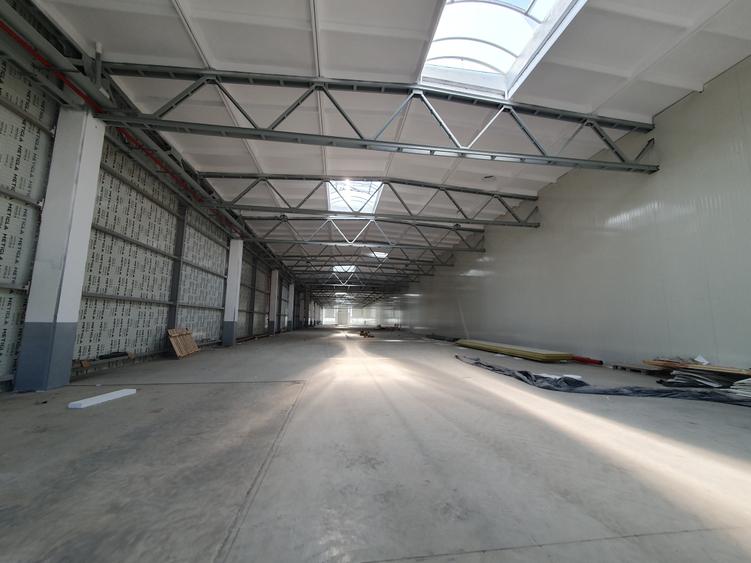 Hala 1200 mp, 4,50 e/mp - 1