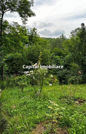 Casa Baicoi 95 mp Sc, 2578 mp teren - 5