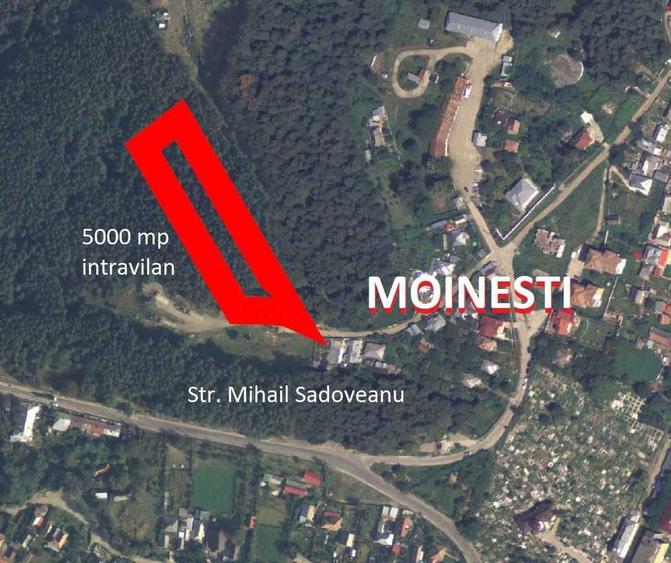 Teren Intravilan 5000mp, Moinesti, Str. M. Sadoveanu - 4