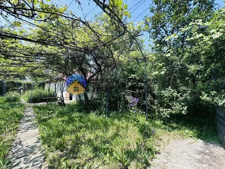 Casa tradi?ionala Bodesti - 13