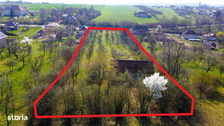 Casa cu 2 camere si livada | Teren 4.395 mp cu alee printre 70 de pomi - 4