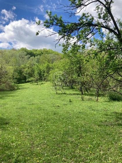 Izvoarele Valea Borului- Teren Intravilan de Vanzare- Comision 0% - 7