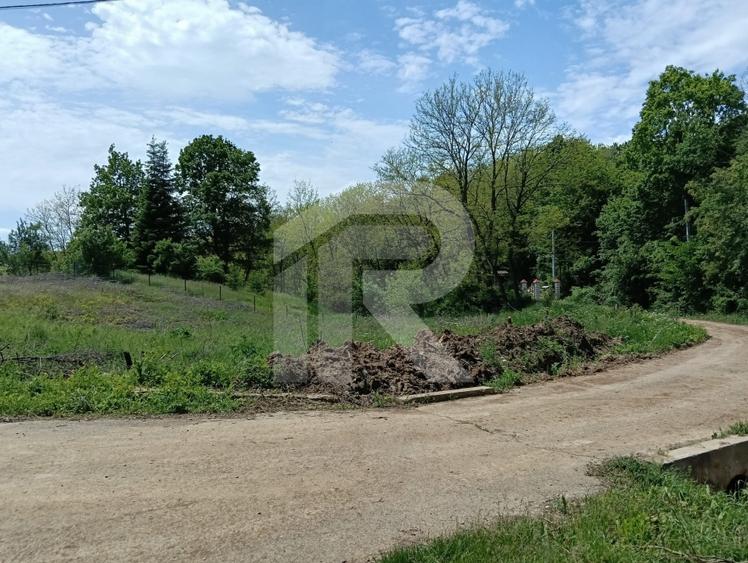 intravilan Tiparesti, relaxare aproape de padure - 5