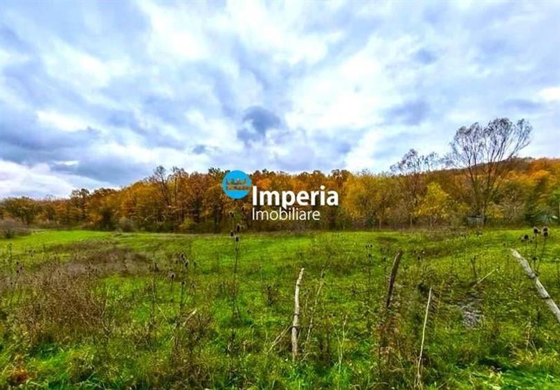 Teren la Padure in Poiana cu Cetate,  9500 mp - 1