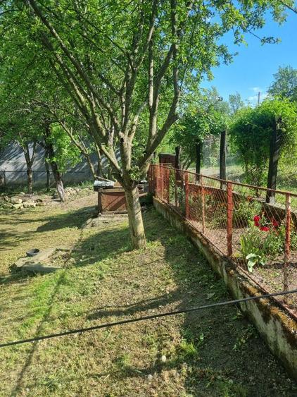 Vand casa in Jichisul de Sus - 4