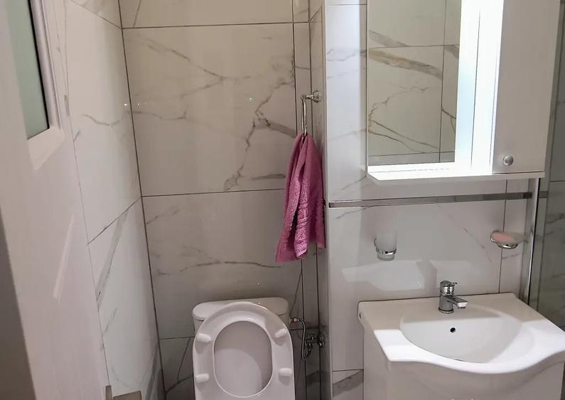 Garsoniera renovata, 43 metri patrati, langa Mega Mall - 9