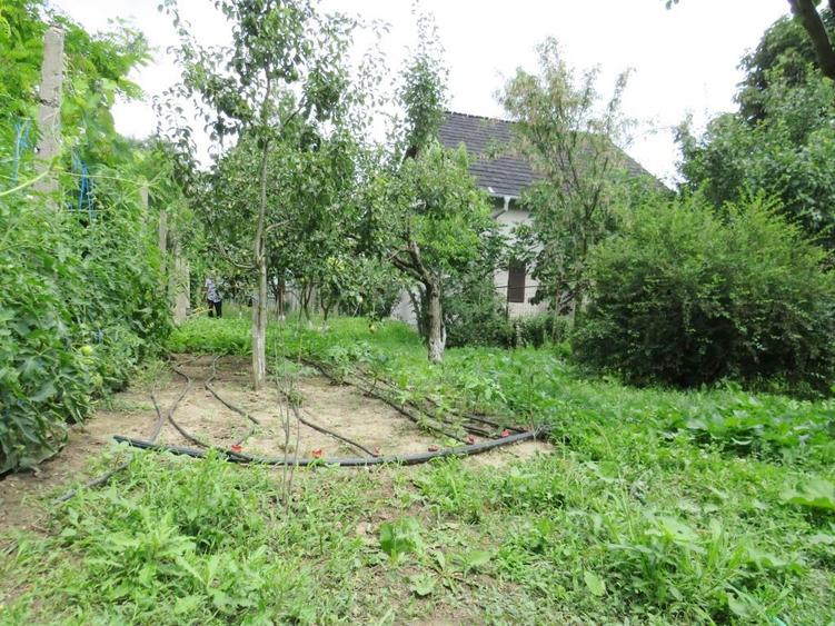 Vanzare 3 case moderne + 3 anexe si 2000 mp teren gradina, pomi in Tuzla la mare - 18