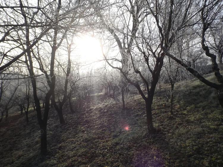 Proprietate compusa din casa batraneasca, casa P+1+M, Pocruia, Gorj - 3