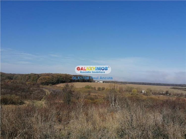Teren Snagov Ghermanesti latura mare lac si padure 70000 Teren Snagov Ghermanesti latura mare lac si padure 70000