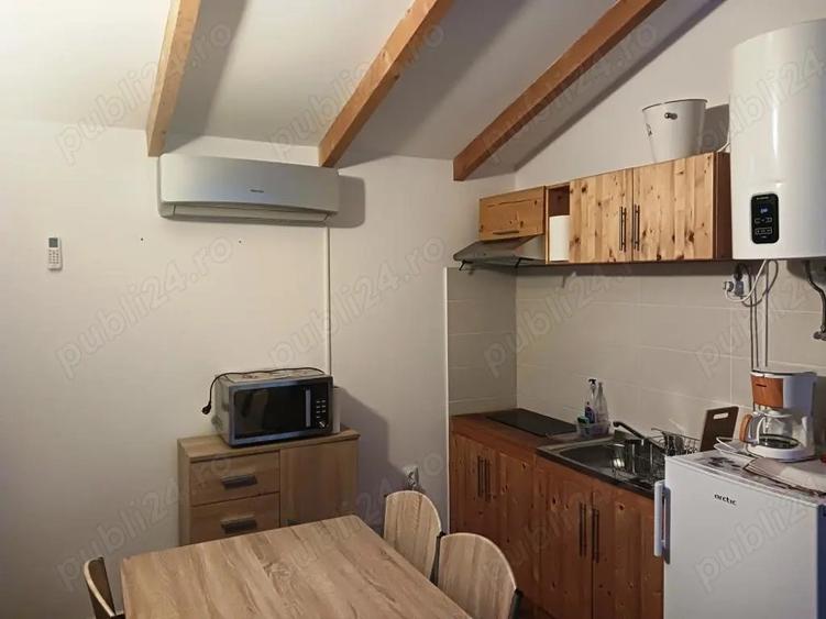 Case de vacan?a sau rezidentiale la ?ara, pe Transfagarasan . - 4