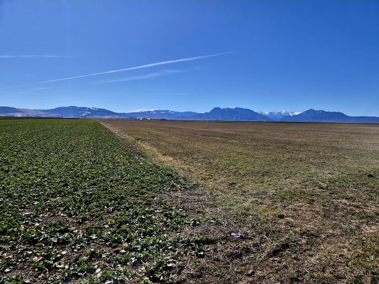 Teren extravilan de vânzare – Prejmer, Brașov | Potențial  pentru dezvoltare! - 3