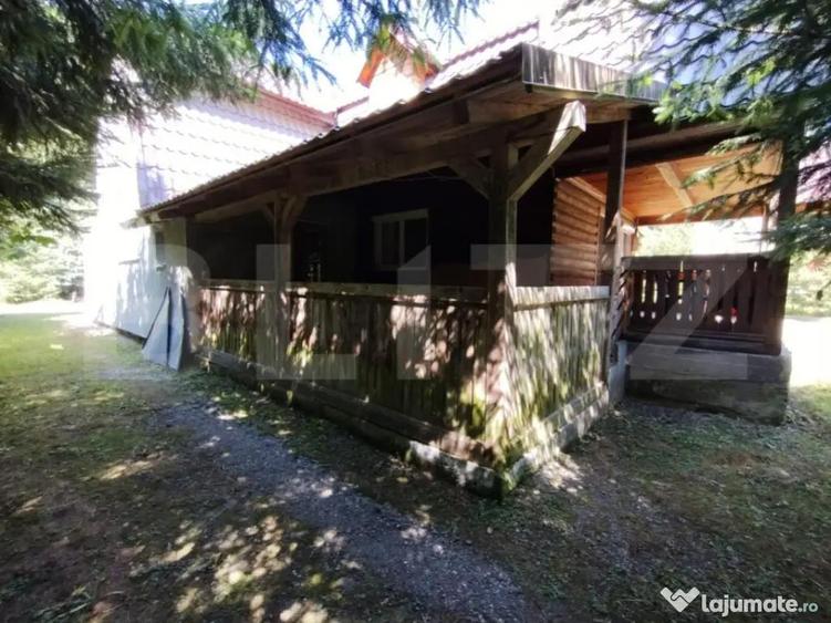 Cabana 4 camere Lunca Bradului - 17