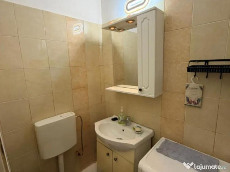 Garsoniera de inchiriat, in zona Abator - 8