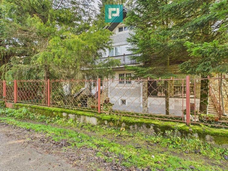 Vand casa D+P+E in Rosia Noua (com. Petris) - 1