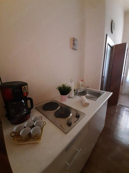 Apt. ULTRACENTRAL Pia?a Victoriei - 2