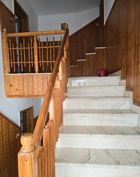 Vanzari vile in Eforie Nord - 9