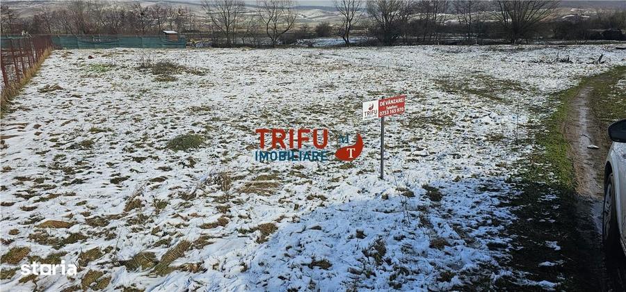Teren Intravilan Construibil in Mice?ti, Alba Iulia - 6