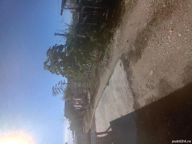 vand casu?a urgent citi?i bine anuntul - 4