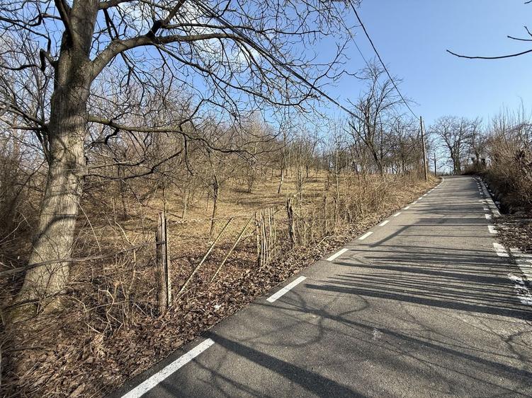 Teren intravilan 2788 mp deschidere 55 ml cu vedere panoramica ! - 11