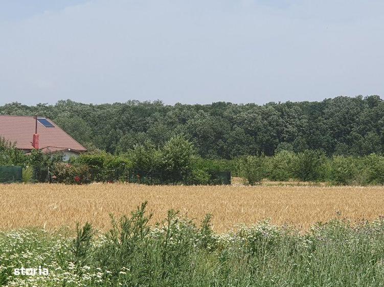 Teren langa padurea Sri Balotesti, 22500 euro - 7