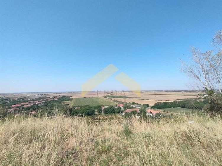 Teren intravilan pe deal Paulis, Arad - 3