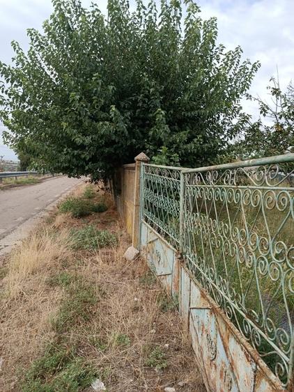 Comuna Baneasa, judetul Giurgiu - 1