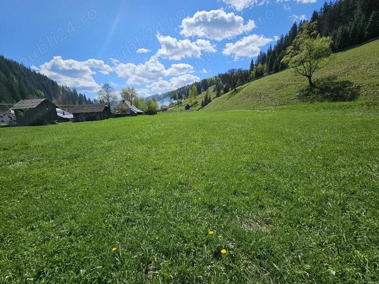 Teren de vanzare in Bucovina zona Pojorata pe Transrarau - 9