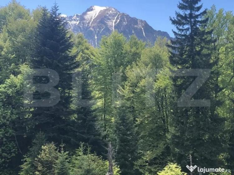 De vanzare, teren intravilan 5.500mp, Predeal - 3